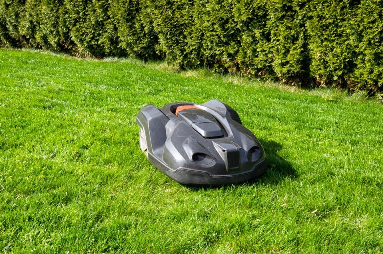 grass-3318960_960_720