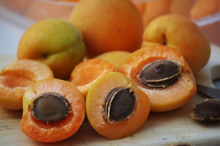 apricots-1502169_960_720