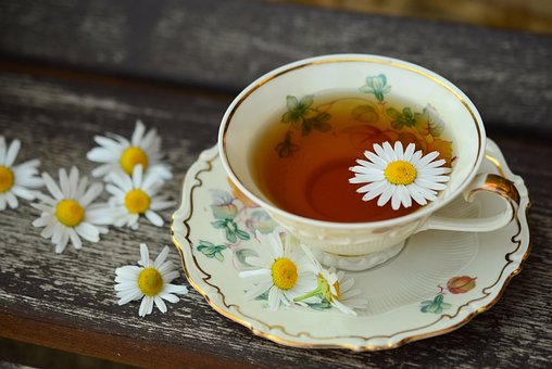 cup-829527__340