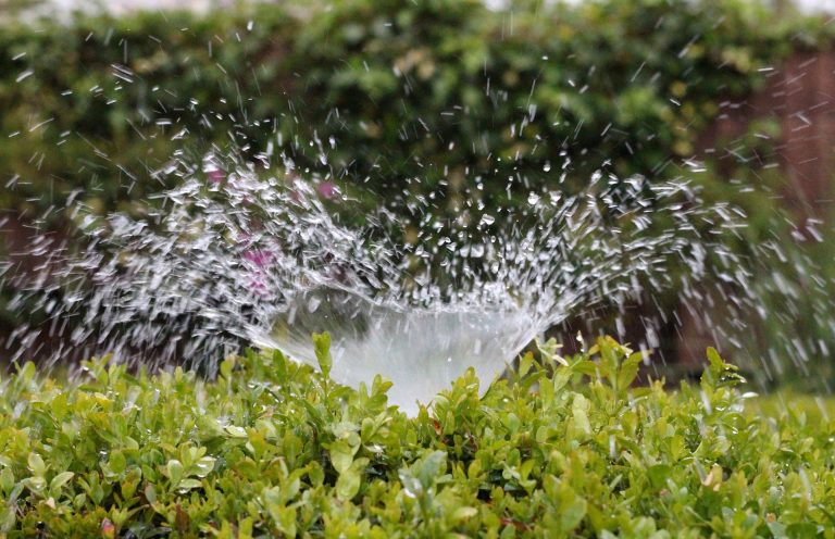 irrigation-2402568_1920