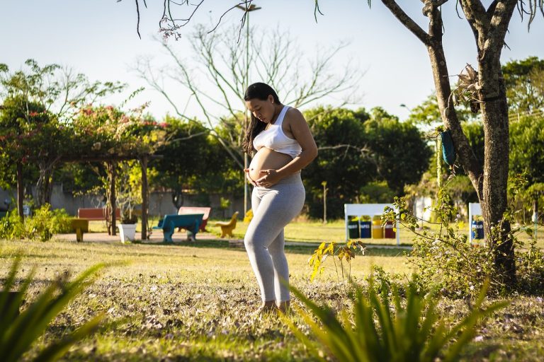 pregnant-4770553_1280