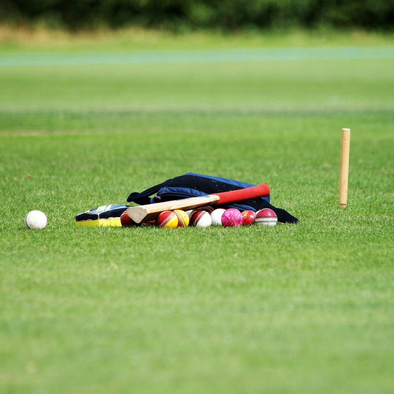 Practice Using Indoor Cricket Nets