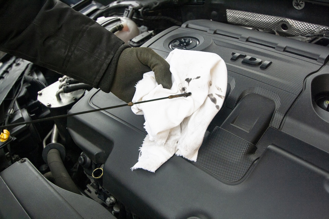 Boosting Security with Vehicle Inspections