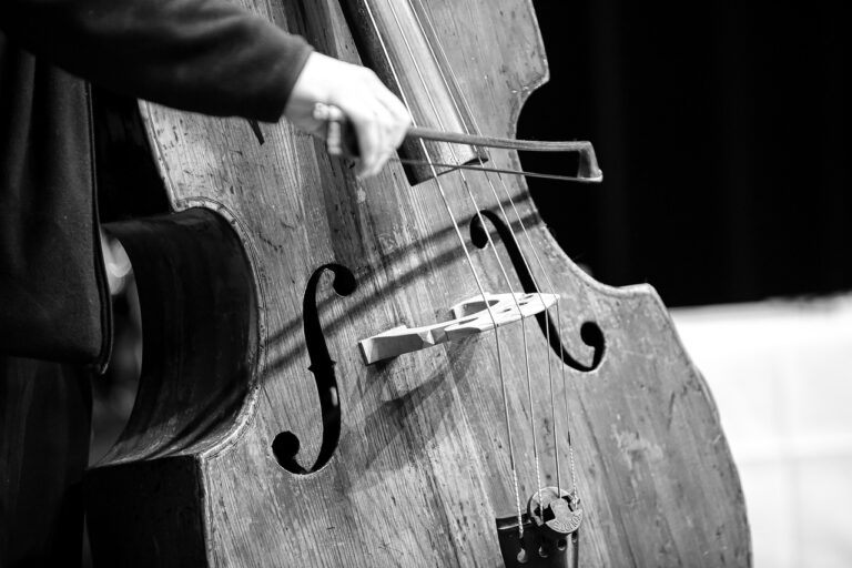 contrabass-9208494_1280