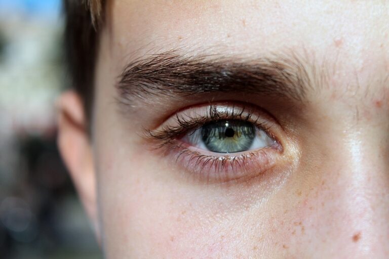 eye-195684_960_720