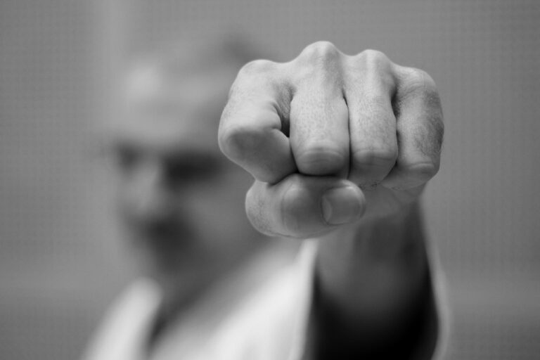 karate-7844488_1280
