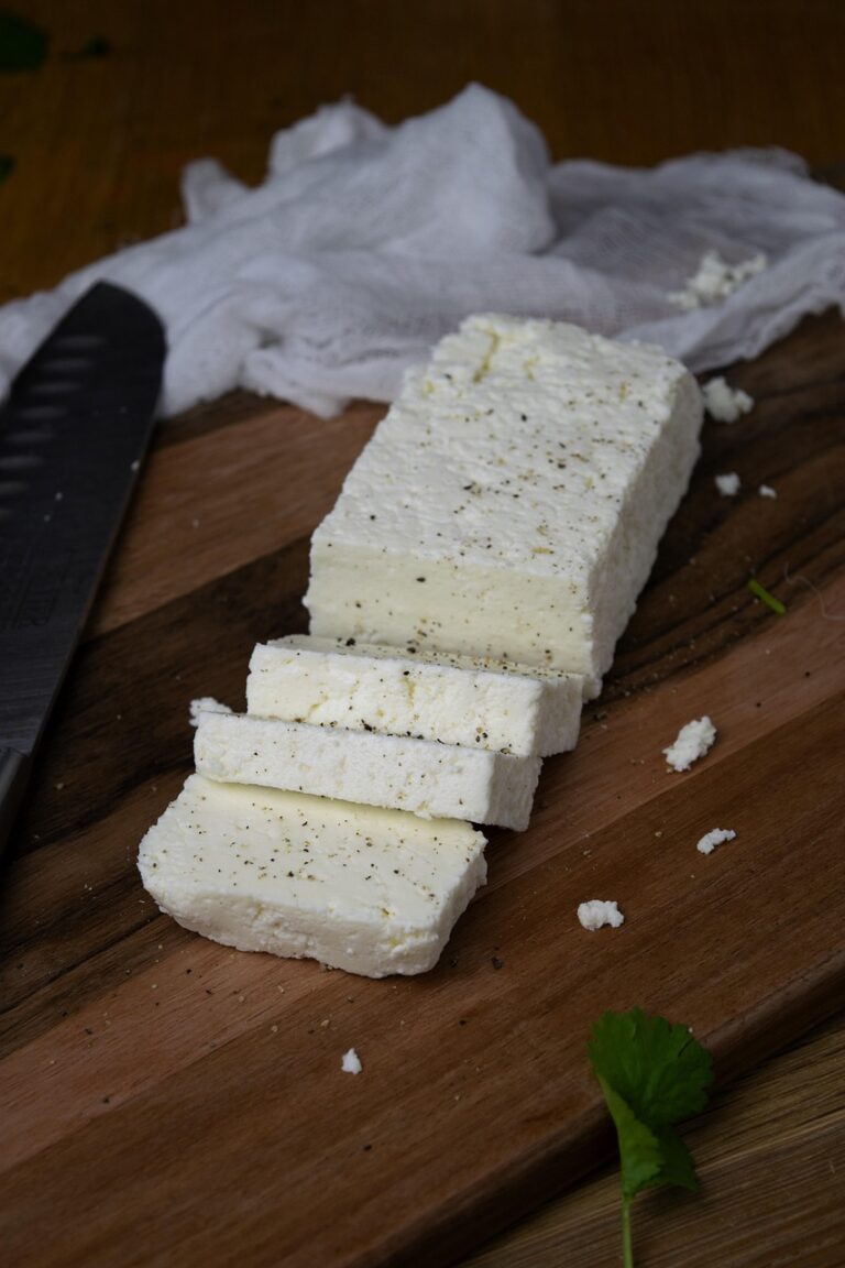 paneer-5368890_1280