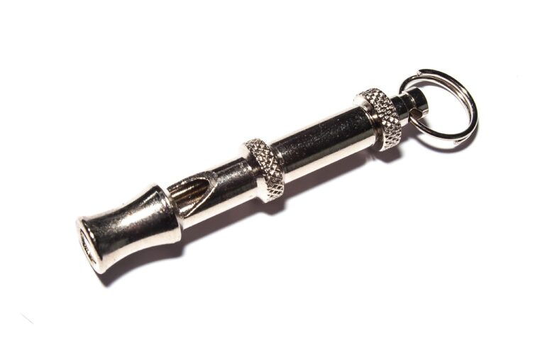 dog-whistle-280807_1280